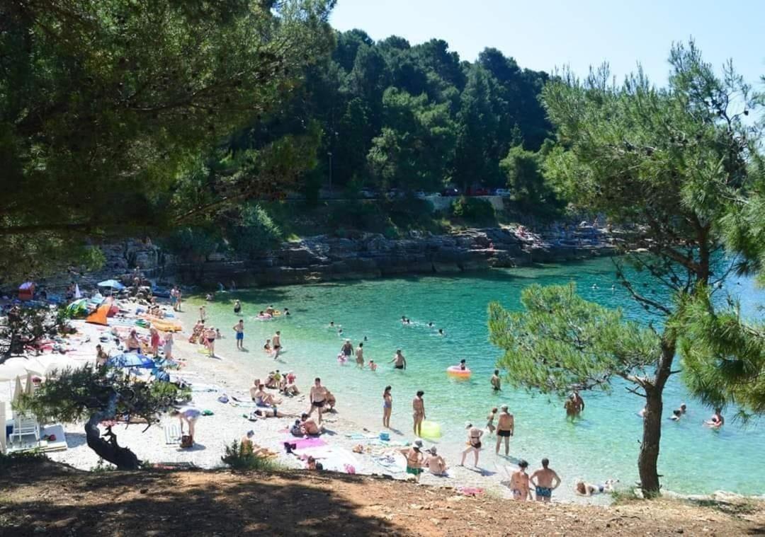 Apartmani Marco,Lukas,Patrick,David,Blizu Centra I Mora Sa Free Privatnim Parkingom Pula Bagian luar foto